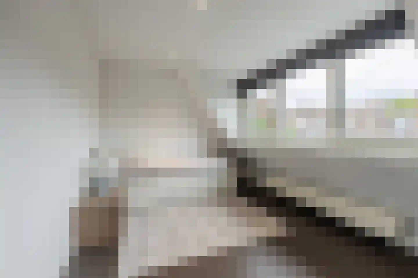 Tapijtschelp 152 Diemen thumbnail 33