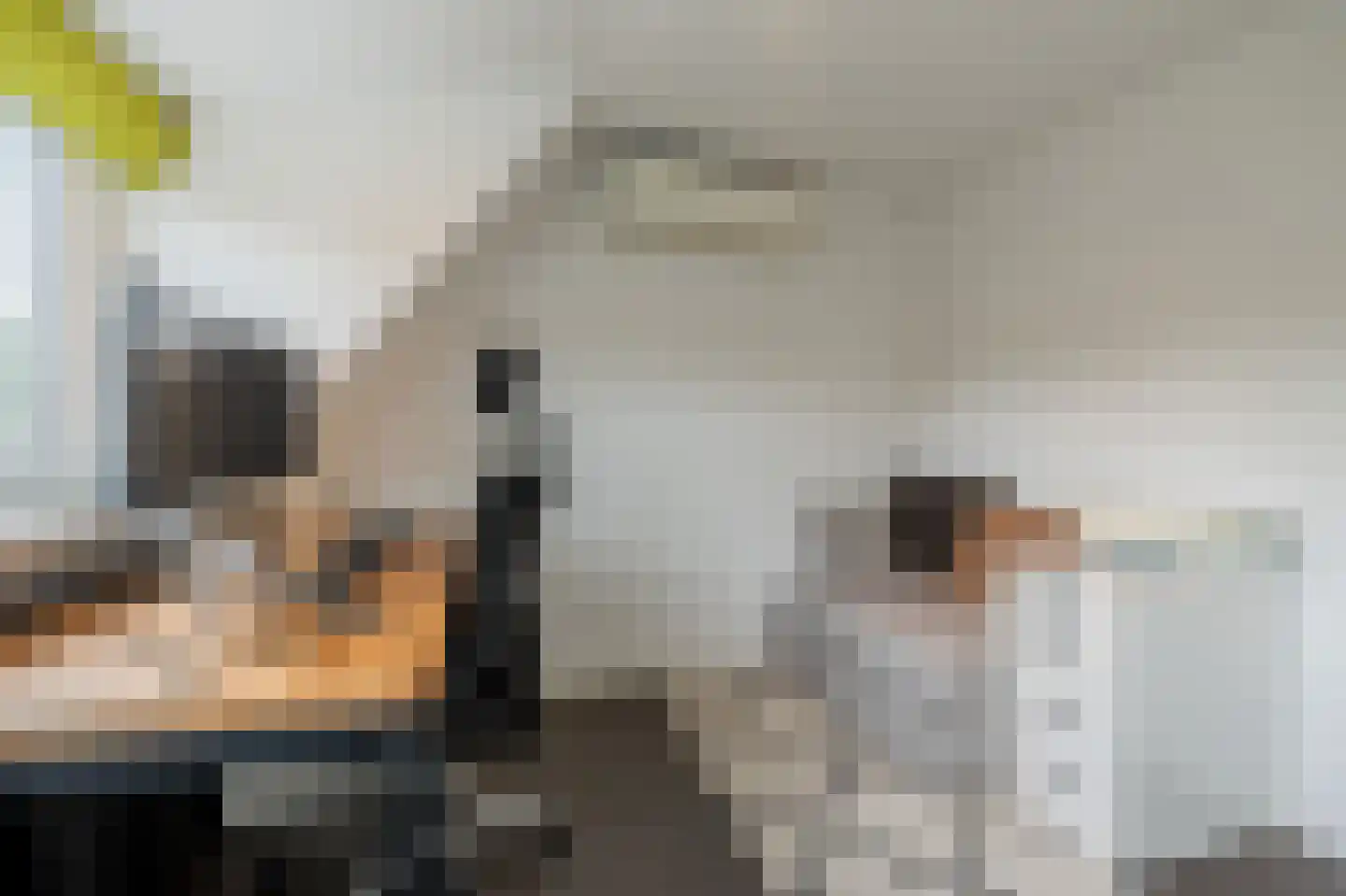 Tapijtschelp 152 Diemen thumbnail 36