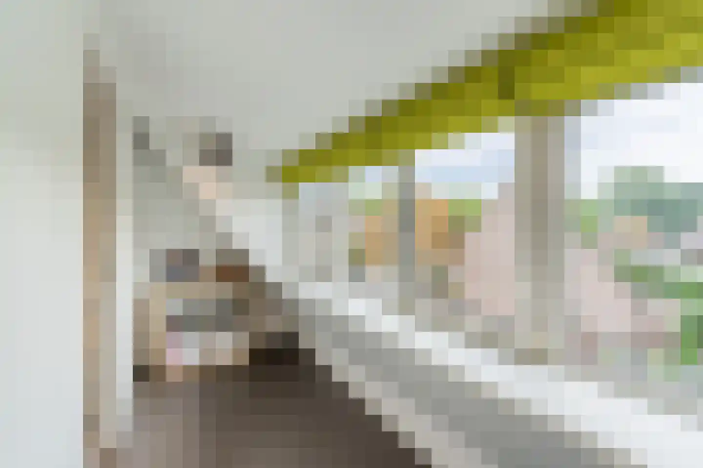 Tapijtschelp 152 Diemen thumbnail 38