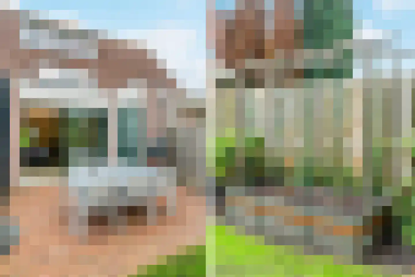 Tapijtschelp 152 Diemen thumbnail 45