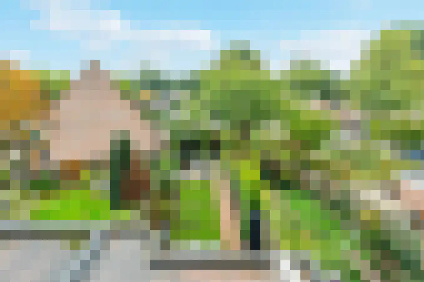 Tapijtschelp 152 Diemen thumbnail 48