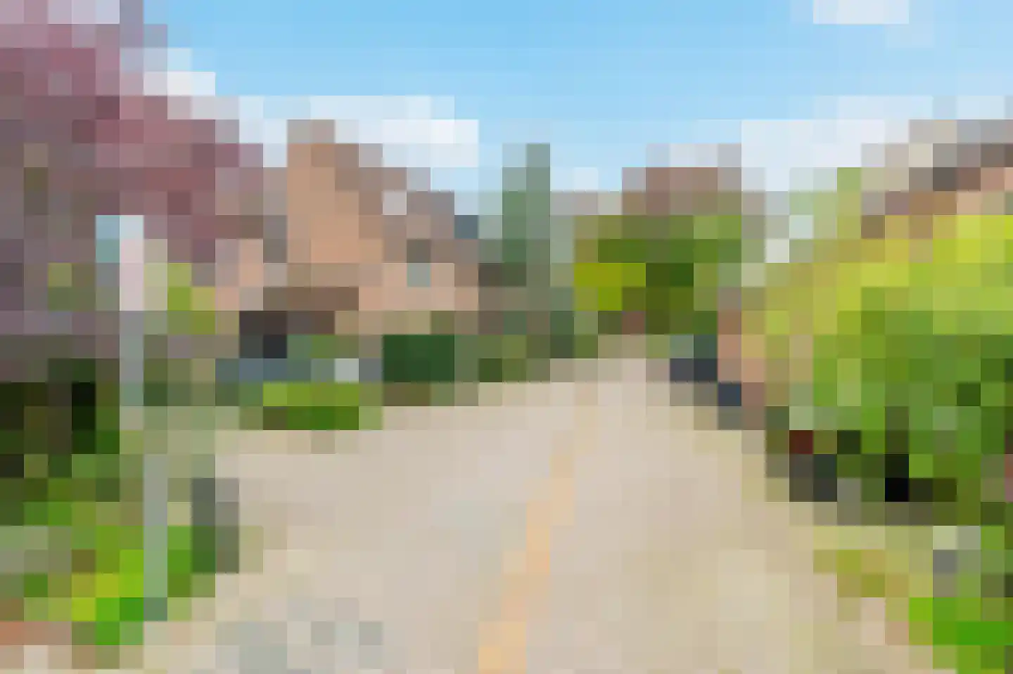 Tapijtschelp 152 Diemen thumbnail 49