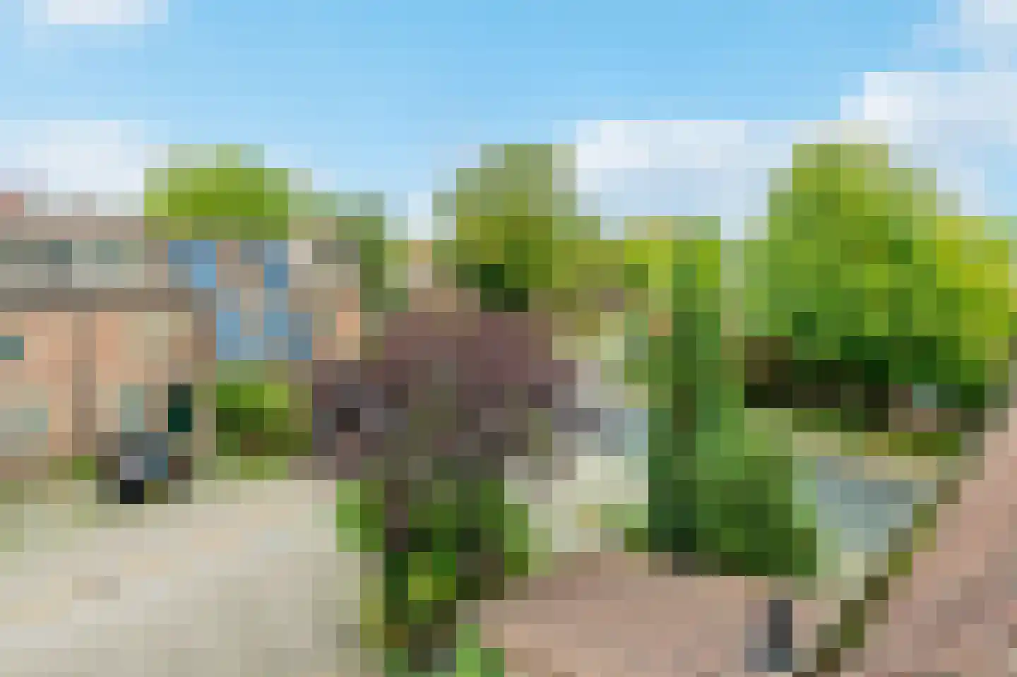 Tapijtschelp 152 Diemen thumbnail 51