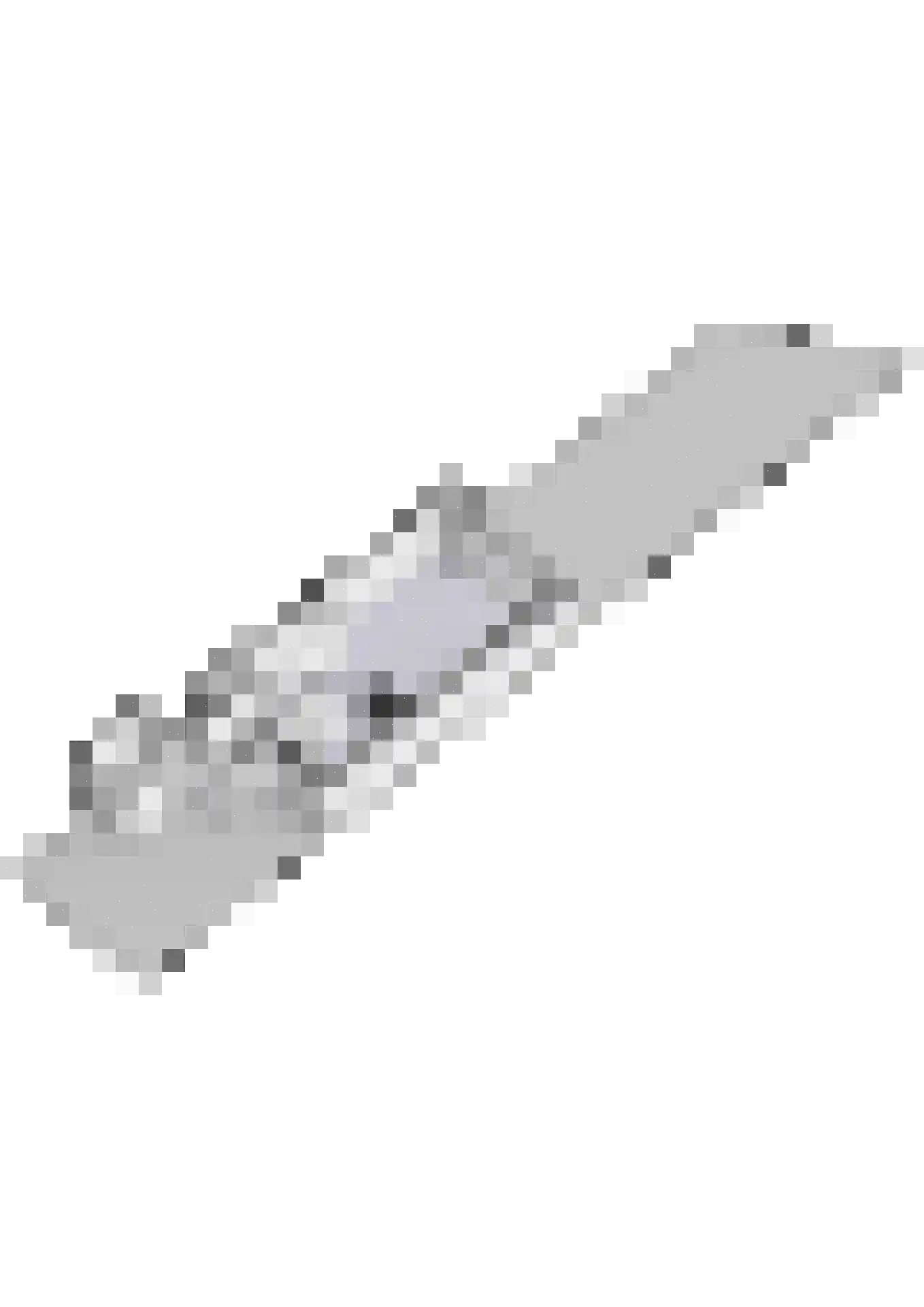 Tapijtschelp 152 Diemen thumbnail 59