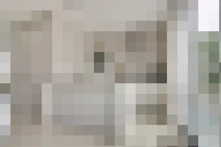 Tapijtschelp 17 Monster thumbnail 12