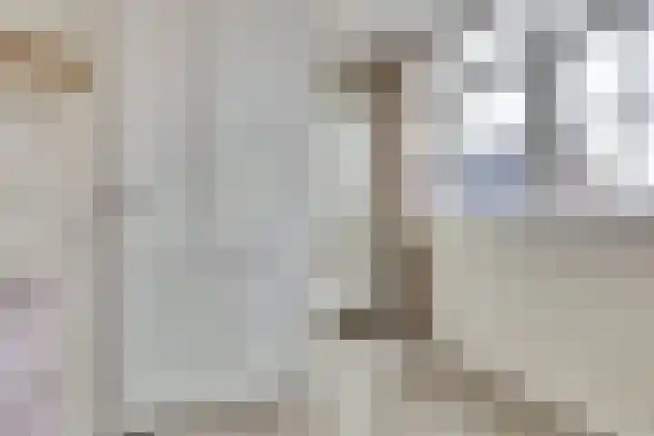 Tapijtschelp 17 Monster thumbnail 22