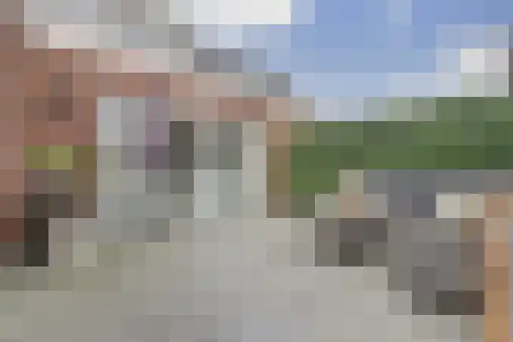 Tapijtschelp 17 Monster thumbnail 23