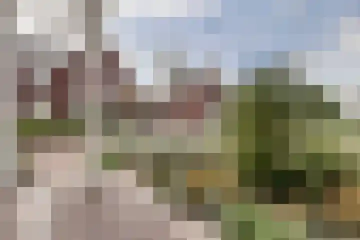 Tapijtschelp 17 Monster thumbnail 24