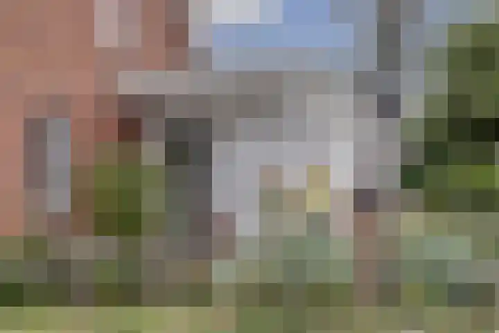 Tapijtschelp 17 Monster thumbnail 25