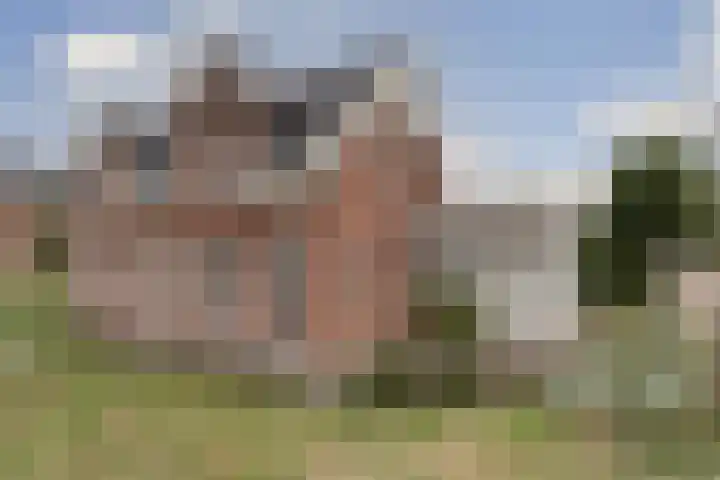 Tapijtschelp 17 Monster thumbnail 27