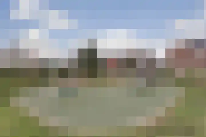 Tapijtschelp 17 Monster thumbnail 34