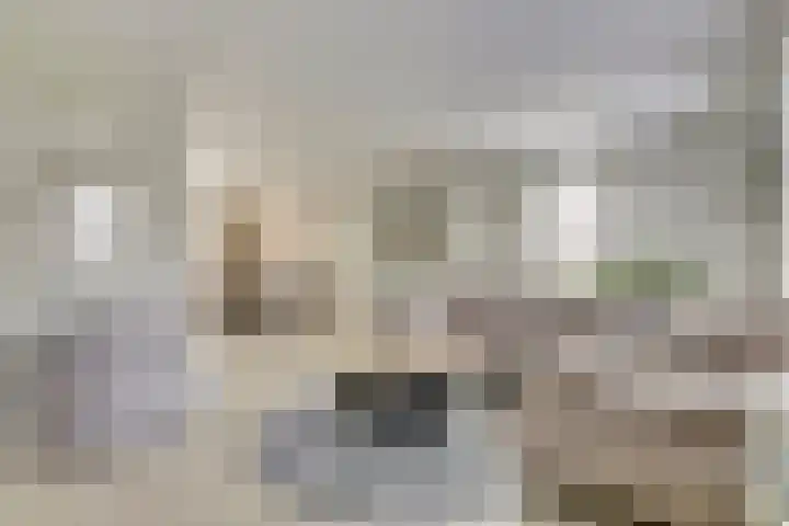 Tapijtschelp 17 Monster thumbnail 4
