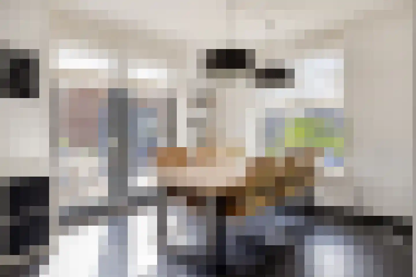 Tapijtschelp 56 Terneuzen thumbnail 11