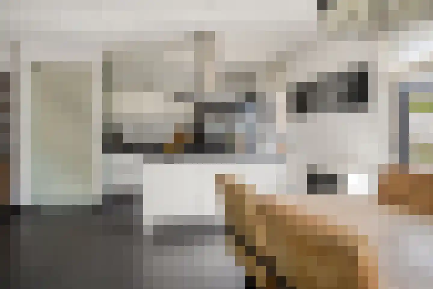 Tapijtschelp 56 Terneuzen thumbnail 13