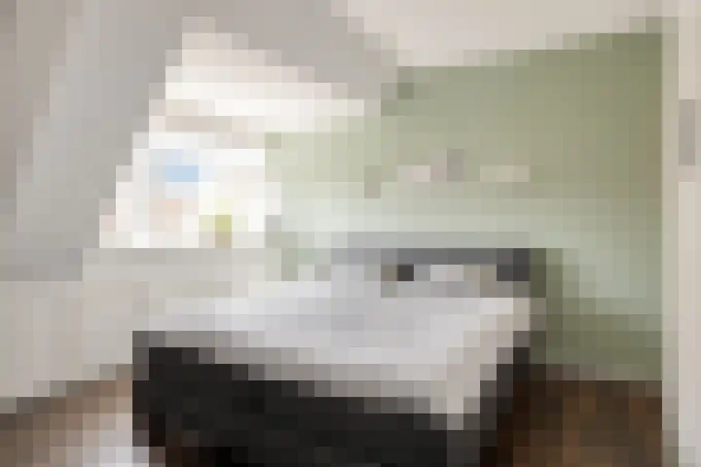 Tapijtschelp 56 Terneuzen thumbnail 22