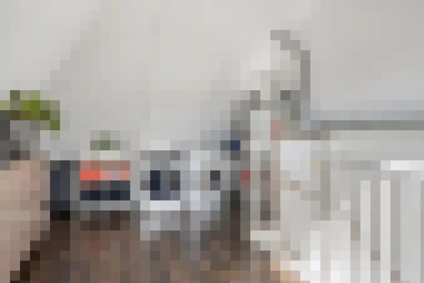 Tapijtschelp 56 Terneuzen thumbnail 31