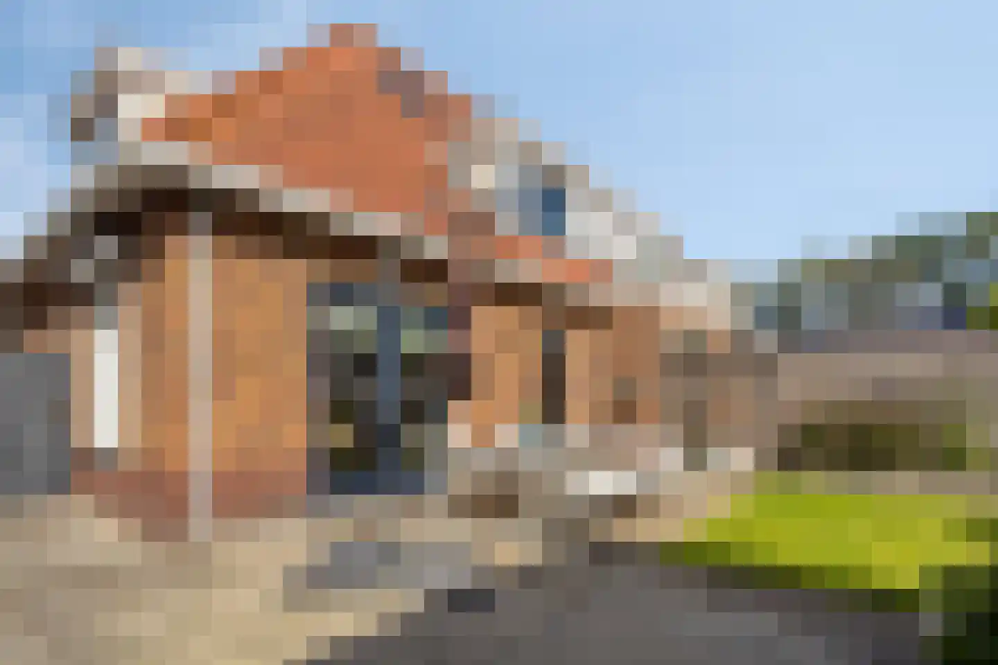 Tapijtschelp 56 Terneuzen thumbnail 34
