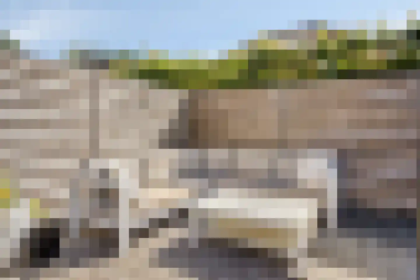 Tapijtschelp 56 Terneuzen thumbnail 37