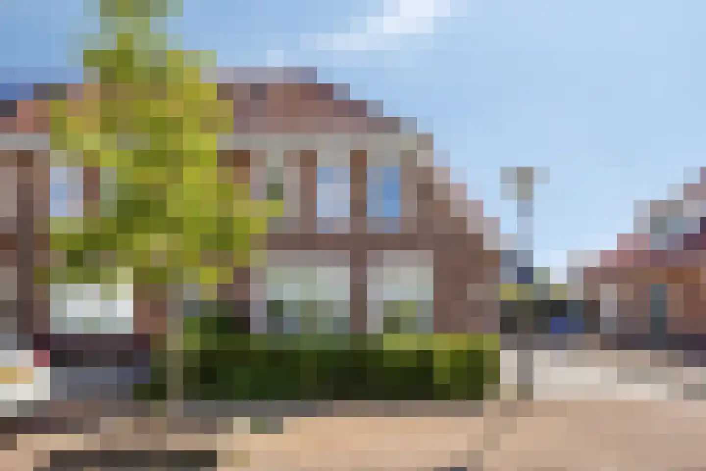 Tapijtschelp 56 Terneuzen thumbnail 5
