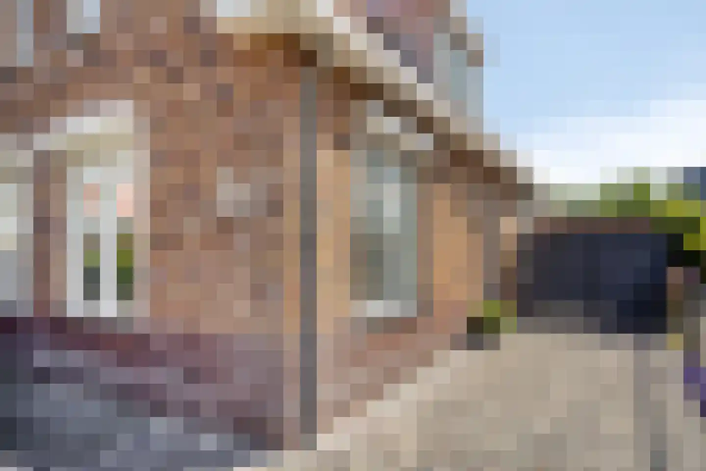 Tapijtschelp 56 Terneuzen thumbnail 6