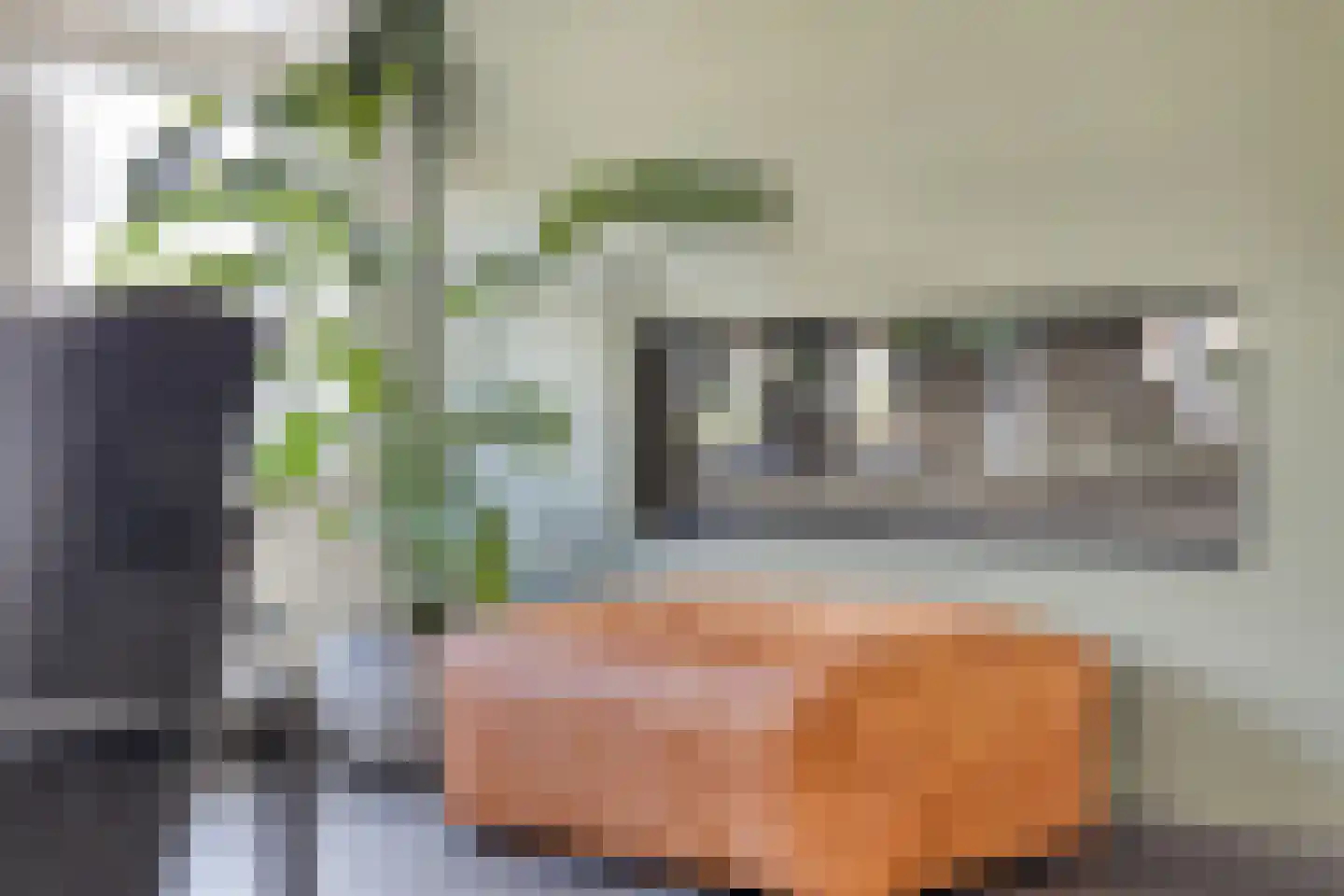 Tapijtschelp 56 Terneuzen thumbnail 9