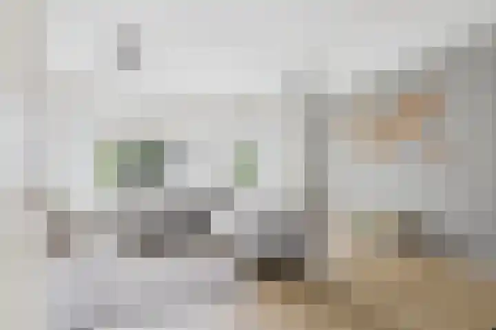 Tapijtschelp 60 Terneuzen thumbnail 10
