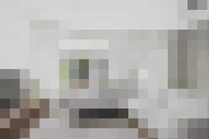 Tapijtschelp 60 Terneuzen thumbnail 11