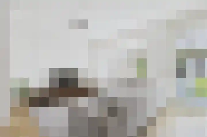 Tapijtschelp 60 Terneuzen thumbnail 12