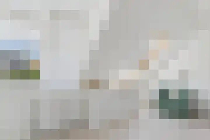 Tapijtschelp 60 Terneuzen thumbnail 24