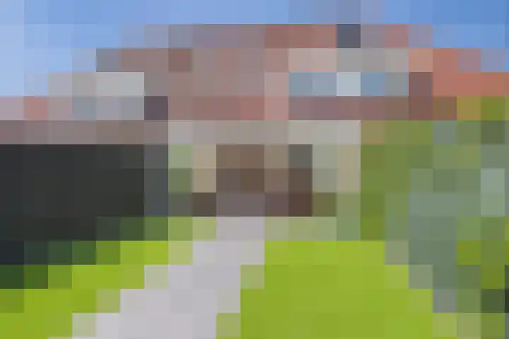 Tapijtschelp 60 Terneuzen thumbnail 36