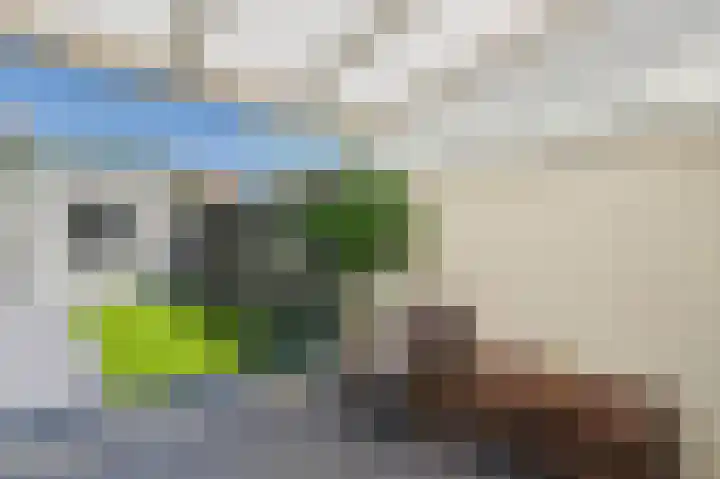 Tapijtschelp 60 Terneuzen thumbnail 38