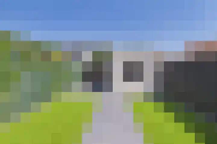Tapijtschelp 60 Terneuzen thumbnail 39