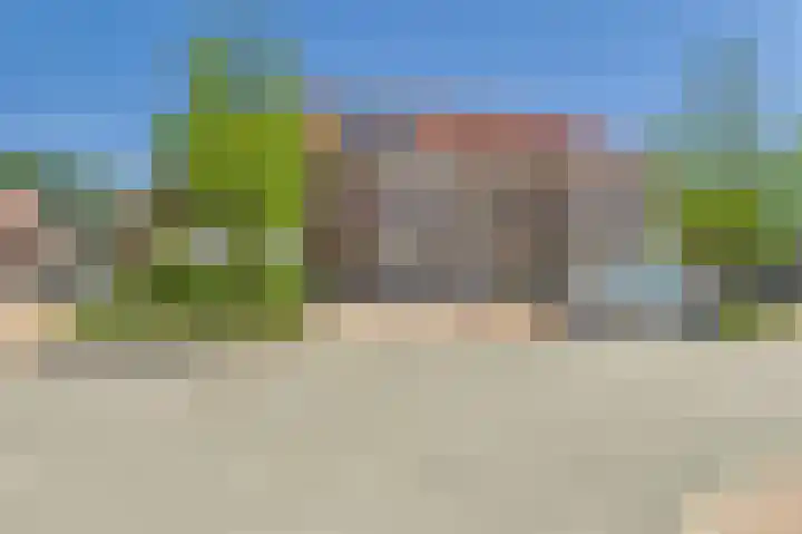 Tapijtschelp 60 Terneuzen thumbnail 40