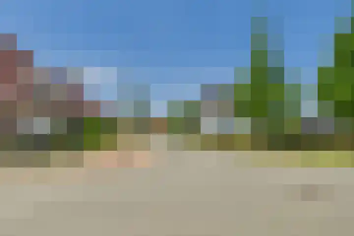 Tapijtschelp 60 Terneuzen thumbnail 41
