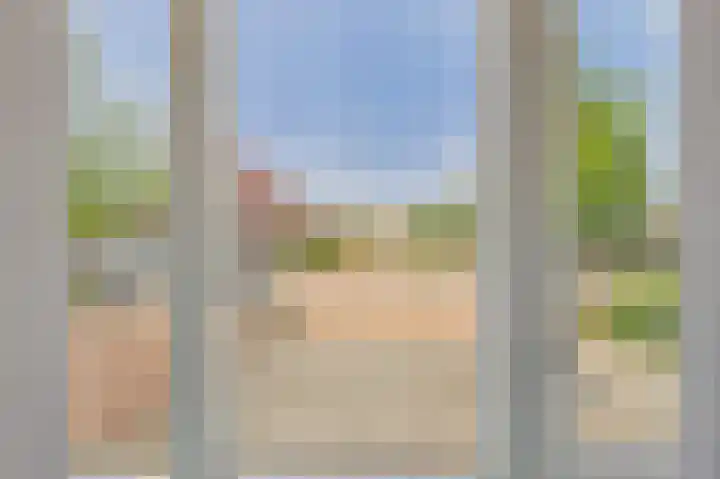 Tapijtschelp 60 Terneuzen thumbnail 5