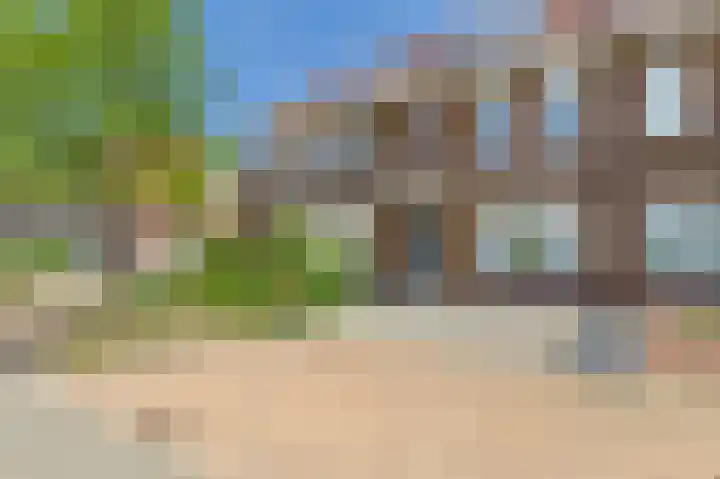Tapijtschelp 60 Terneuzen thumbnail 6
