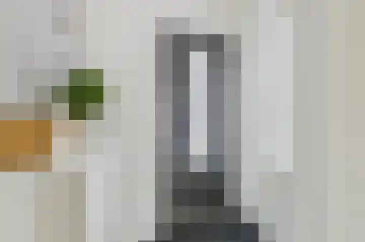 Tapijtschelp 60 Terneuzen thumbnail 7