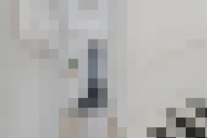 Tapijtschelp 60 Terneuzen thumbnail 8