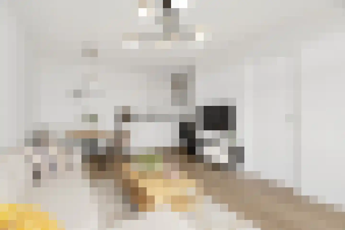 Tapijtstraat 13 Hilversum thumbnail 10