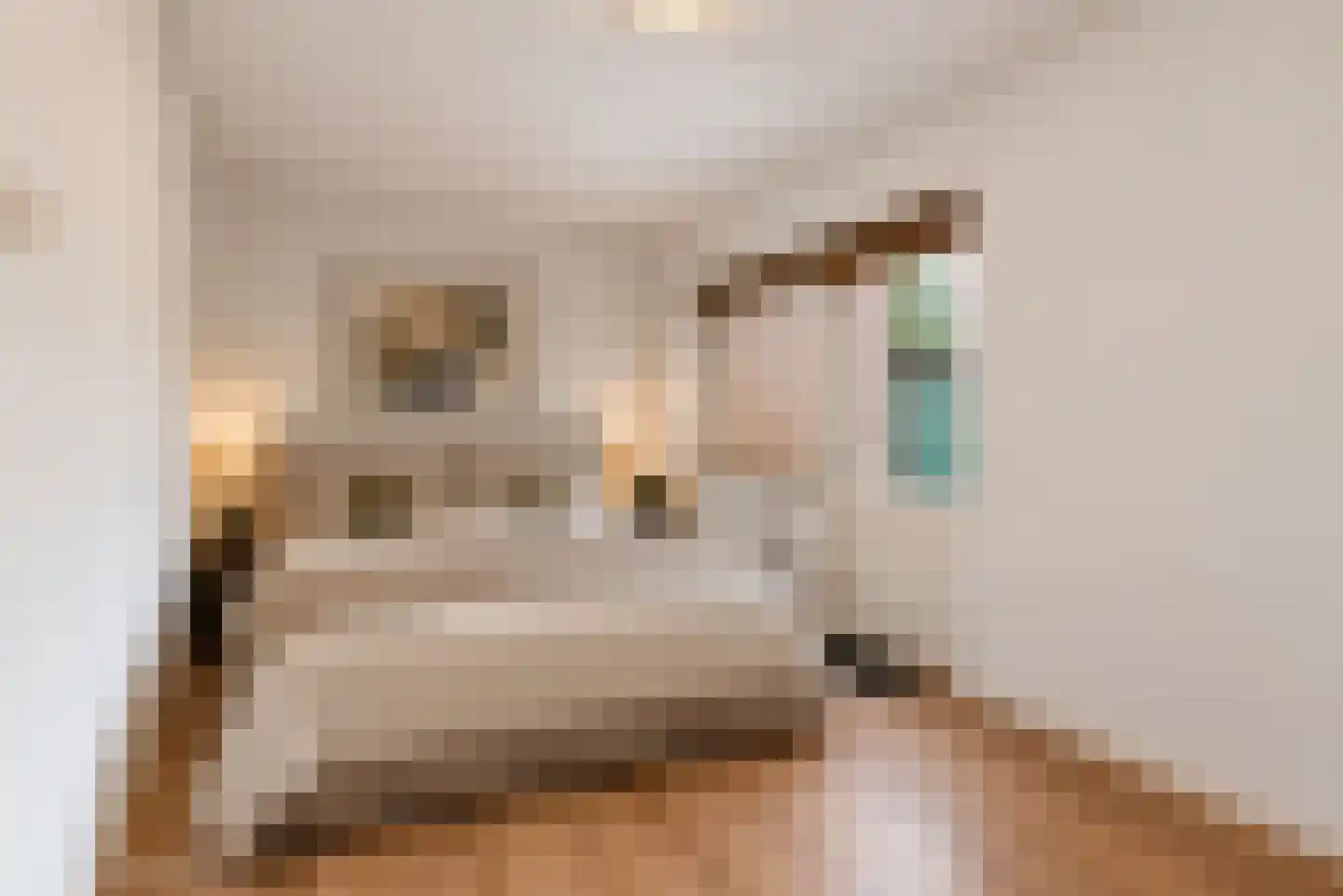 Tapijtstraat 23 Hilversum thumbnail 10