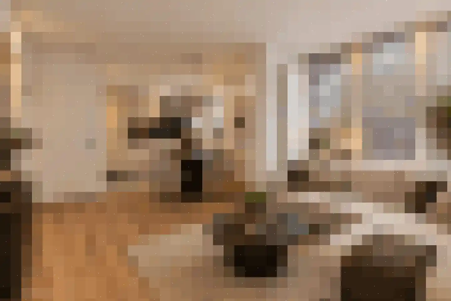 Tapijtstraat 23 Hilversum thumbnail 4