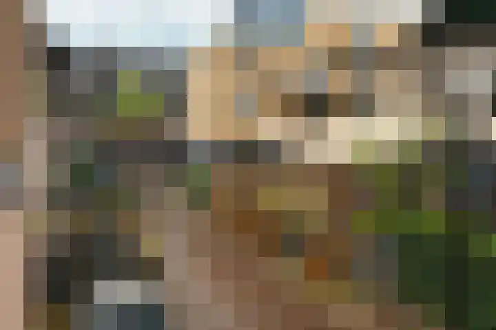 Tapijtstraat 9 Hilversum thumbnail 16