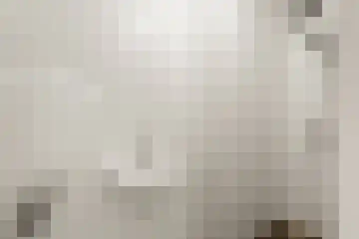 Tapijtstraat 9 Hilversum thumbnail 20