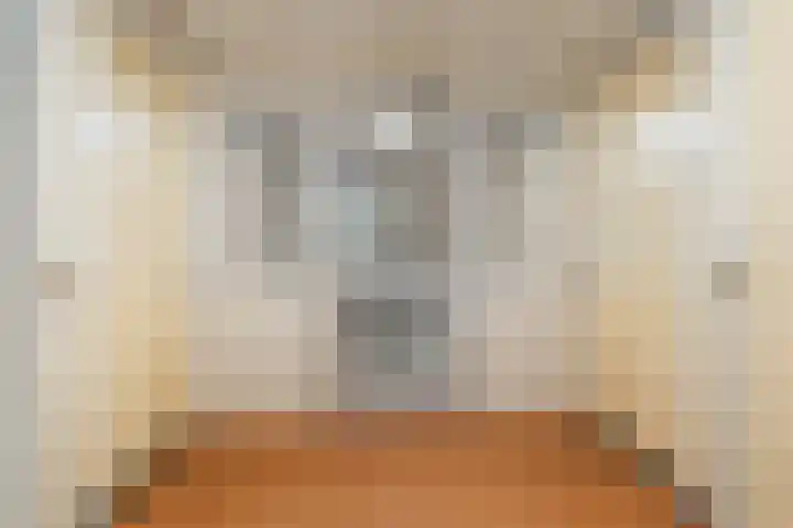 Tapijtstraat 9 Hilversum thumbnail 23