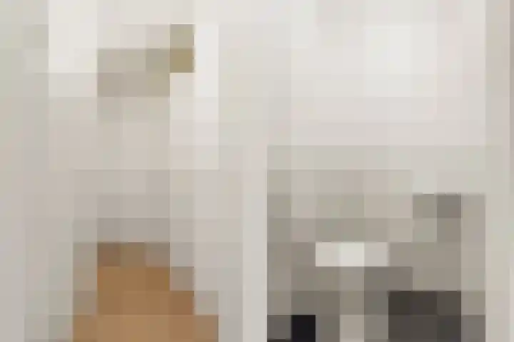 Tapijtstraat 9 Hilversum thumbnail 6