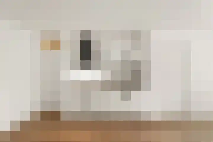 Tapijtstraat 9 Hilversum thumbnail 8