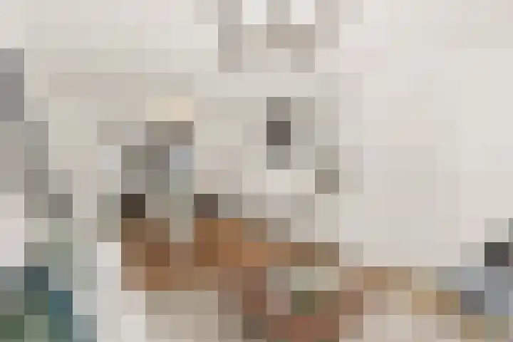 Tapijtstraat 9 Hilversum thumbnail 9