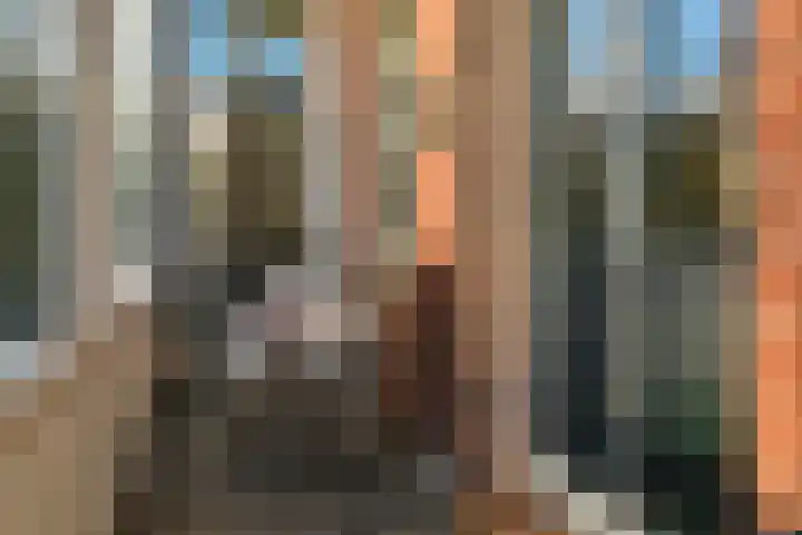 Tapijtweg 28 Den Haag thumbnail 16