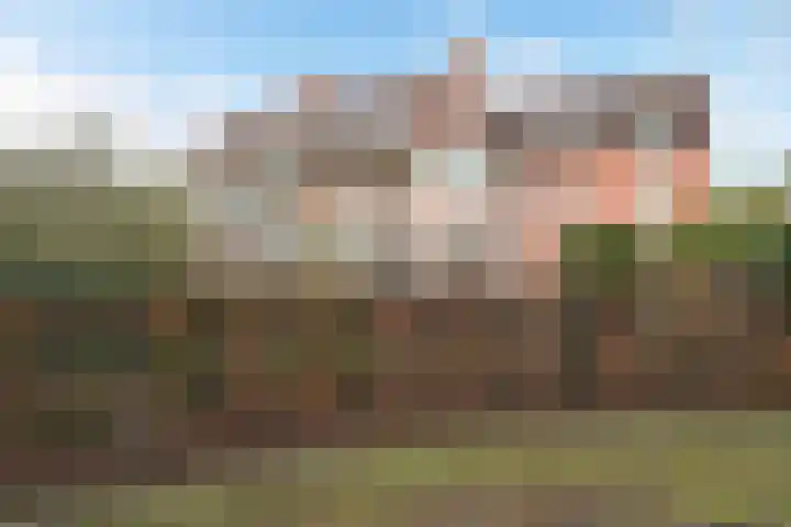 Tapijtweg 28 Den Haag thumbnail 24