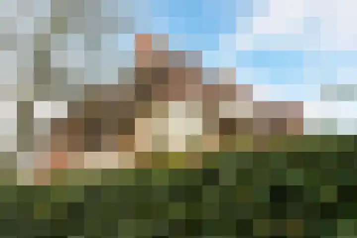 Tapijtweg 28 Den Haag thumbnail 31